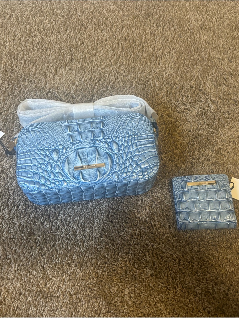 Blue Croc-Embossed Shoulder Bag with Matching Coin Purse,